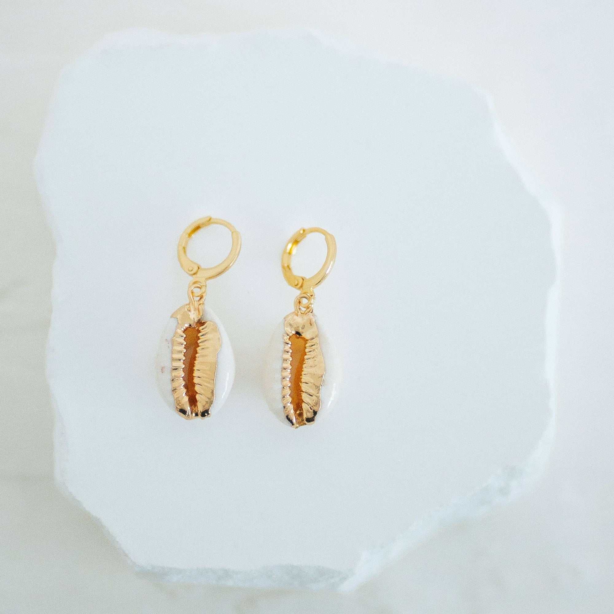 Reva Grey - Cowrie Shell Earring