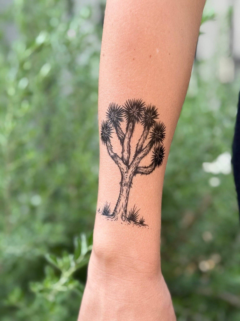 NatureTats- Joshua Tree Temporary Tattoo Sheet