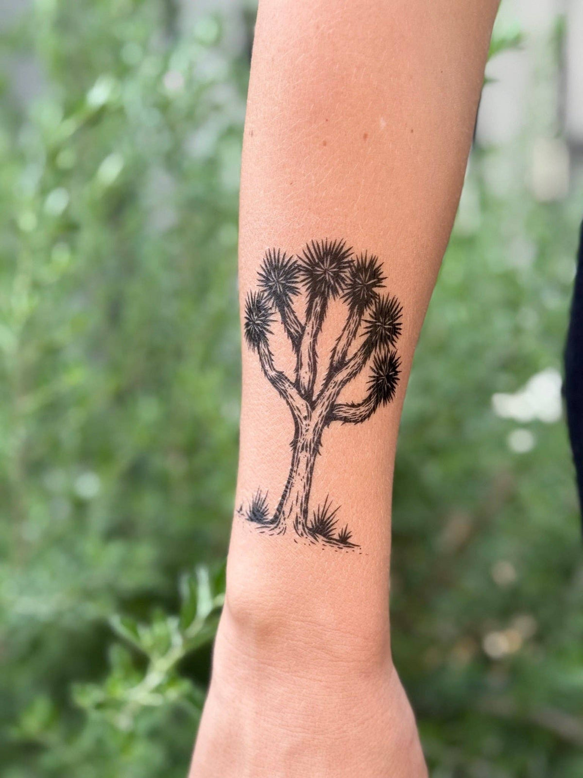 NatureTats- Joshua Tree Temporary Tattoo Sheet