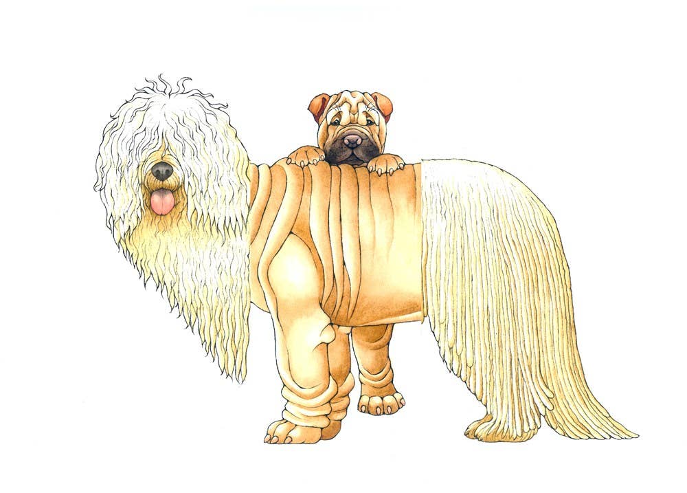 W. W. Norton- Mix-a-Mutt: Make Your Own Wacky Canine!: Board Book
