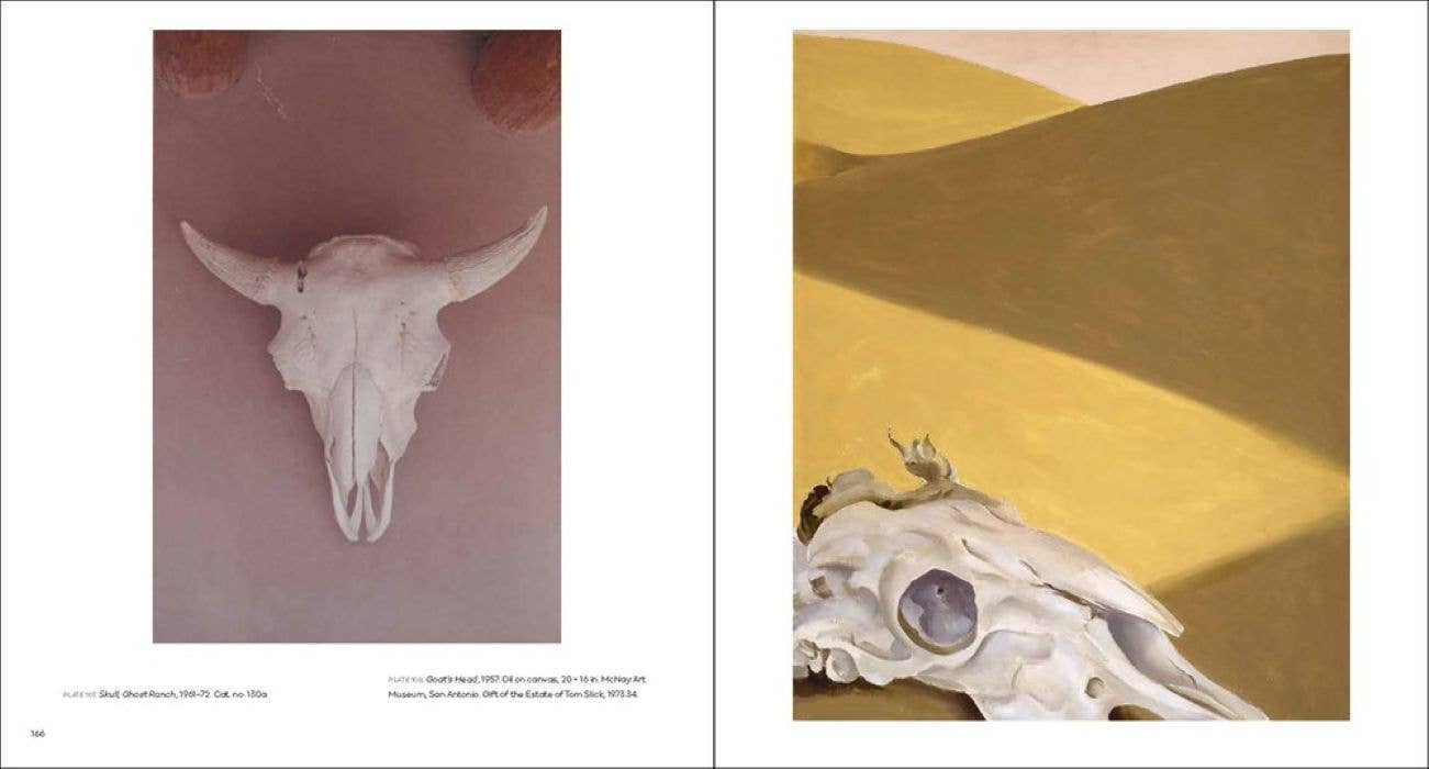 W. W. Norton- Georgia O'Keeffe, Photographer: