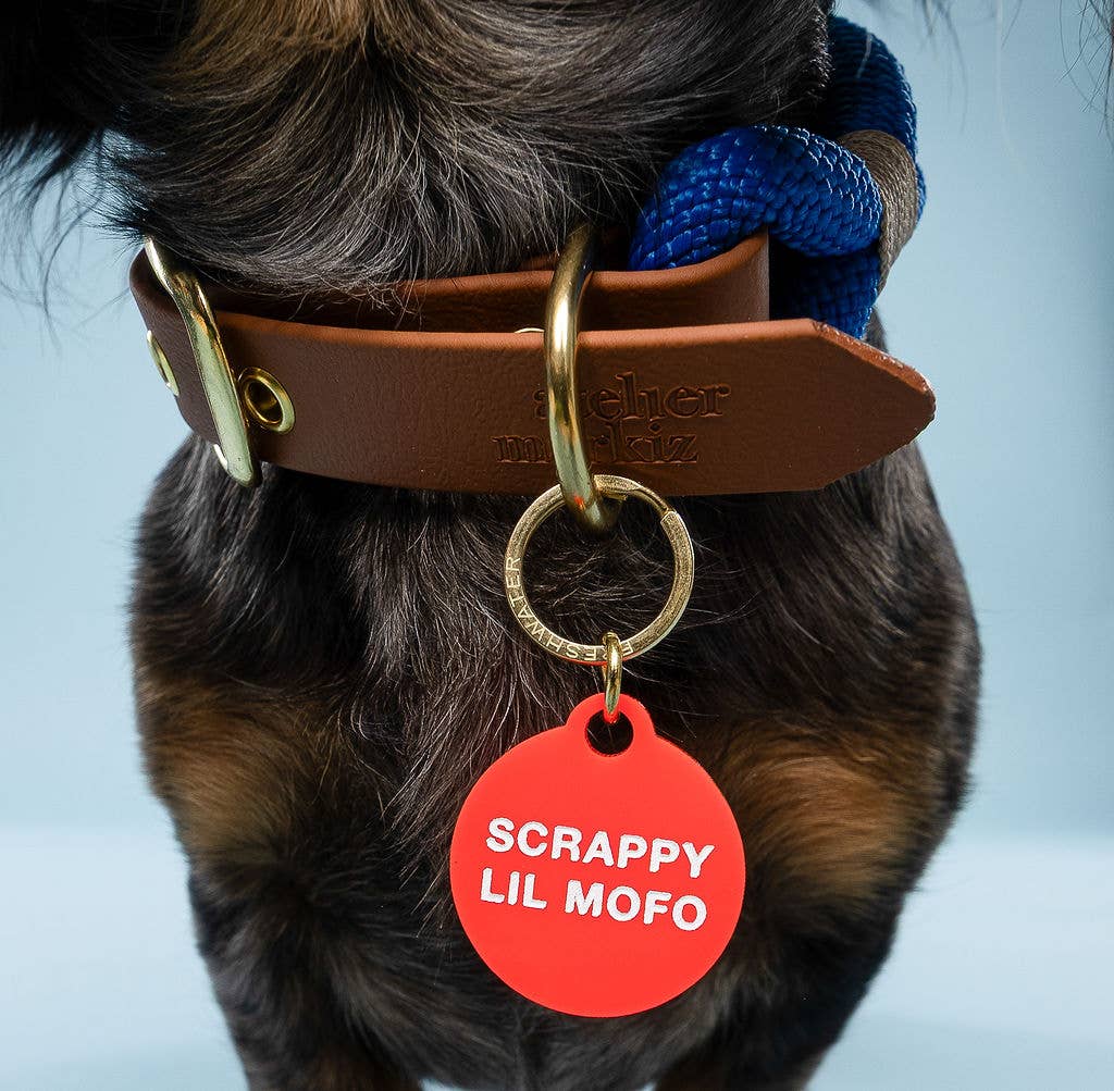 Freshwater Curated Goods- Scrappy Lil Mofo Pet Tag