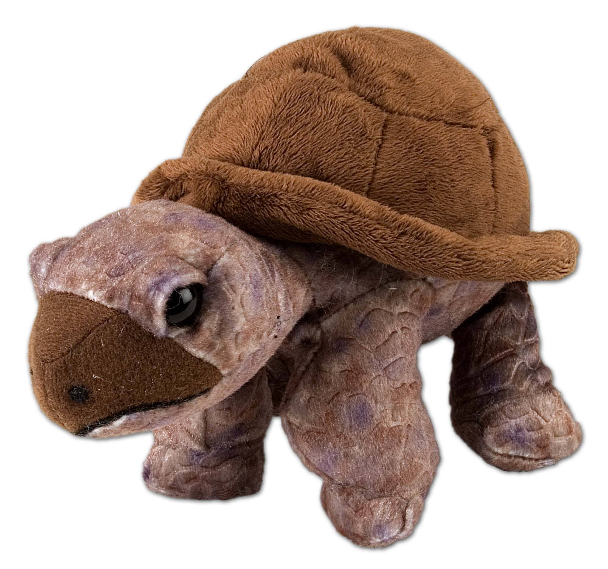Wild Republic- CK-Mini Tortoise Stuffed Animal 8"