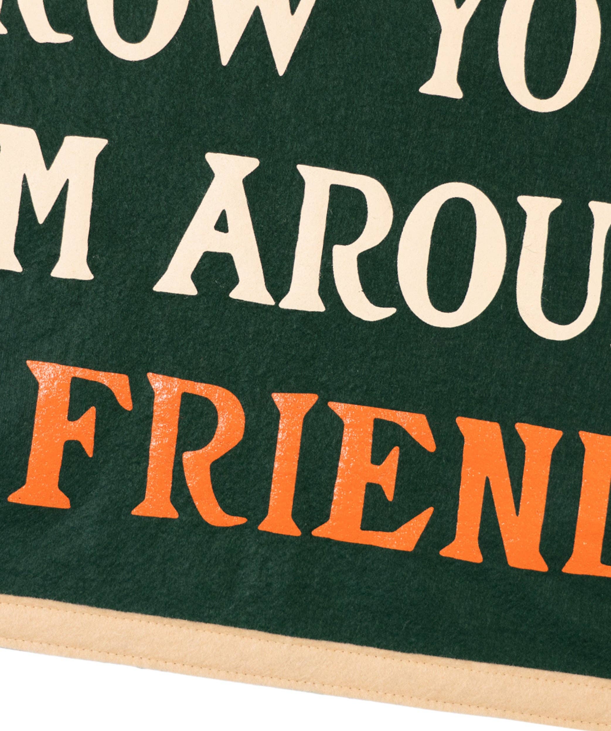 Oxford Pennant- Throw Your Arm Around A Friend Camp Flag • Billy Strings x Oxford Pennant