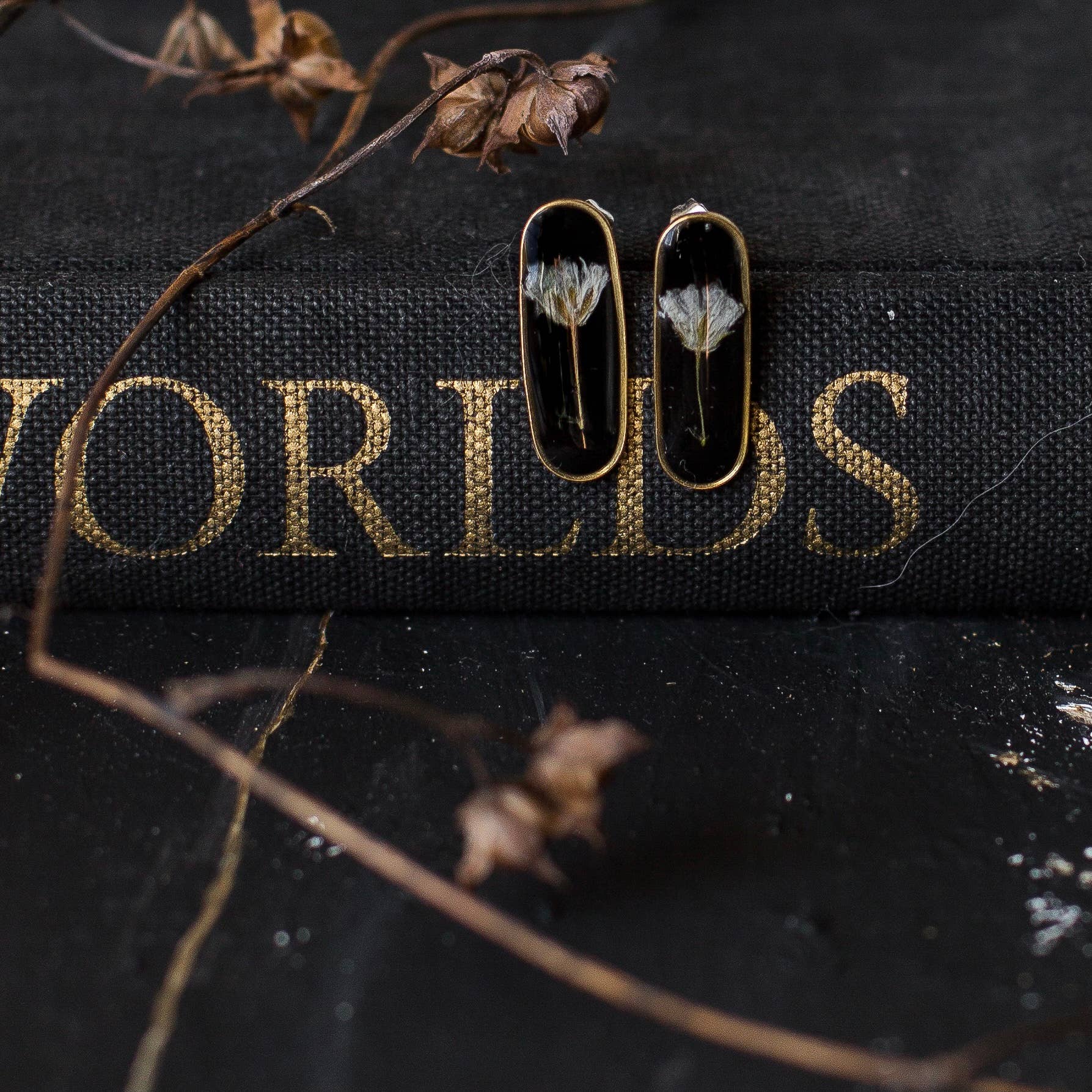Seed & Soil- Oval Studs