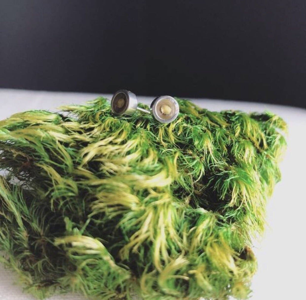 Seed & Soil- Mustard Seed Studs