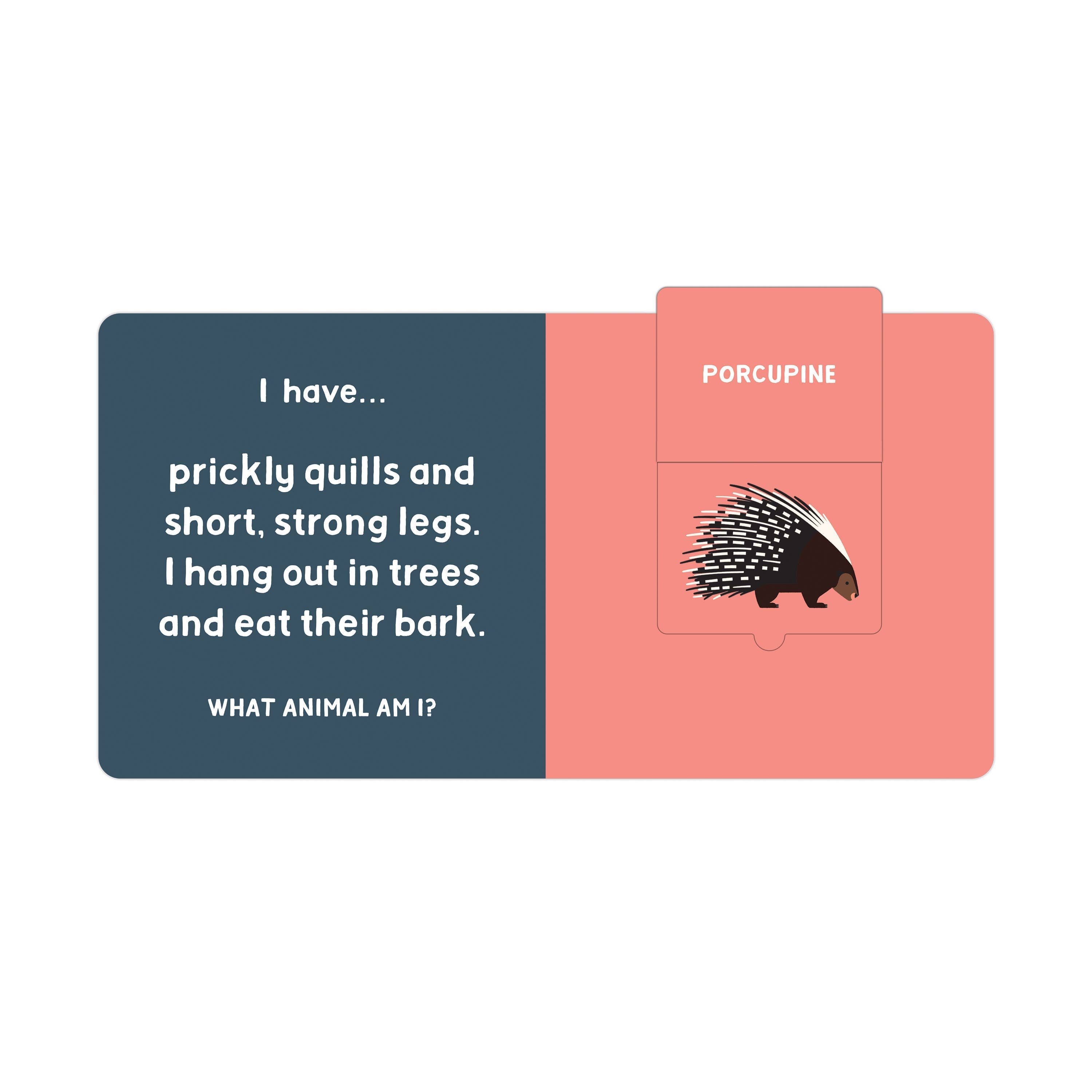 Chronicle Books- Forest Tracks: What Animal Am I? Lift-the-Flap Board Book
