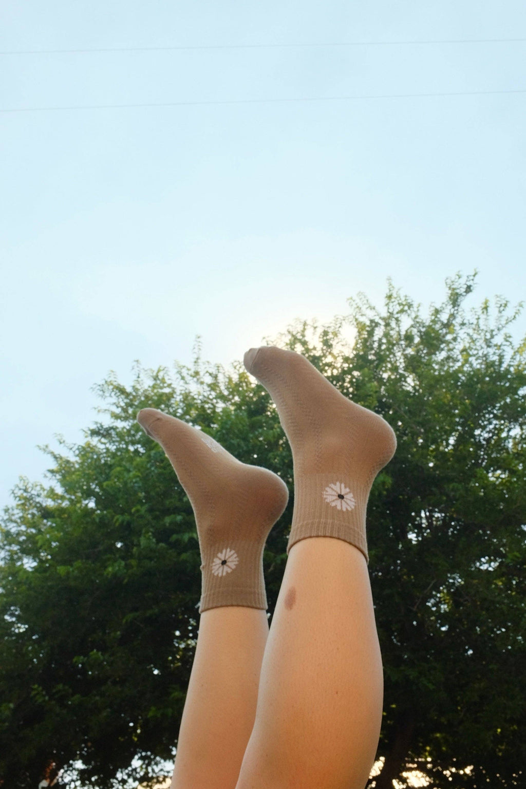 First Summer- Brown Scandinavian Textured Floral Ribbed Crew Socks