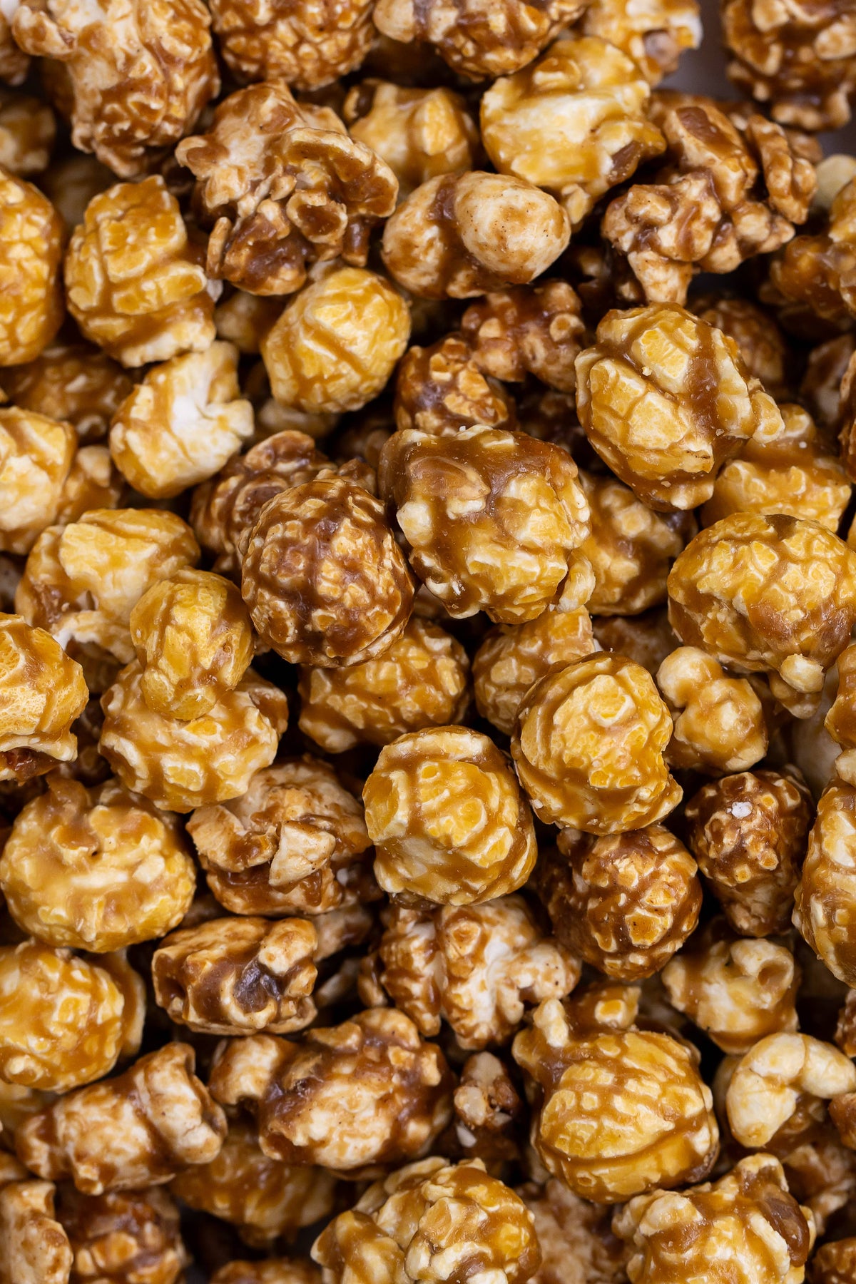 Poppy Popcorn- Holiday Salted Caramel Popcorn