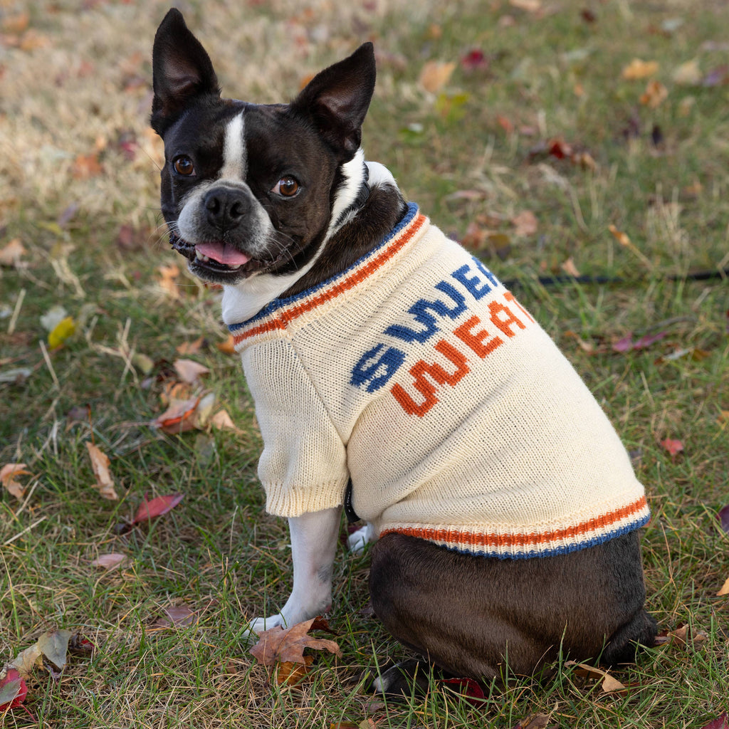 Chronicle Books- Brass Monkey Sweater Weather Dog Sweater