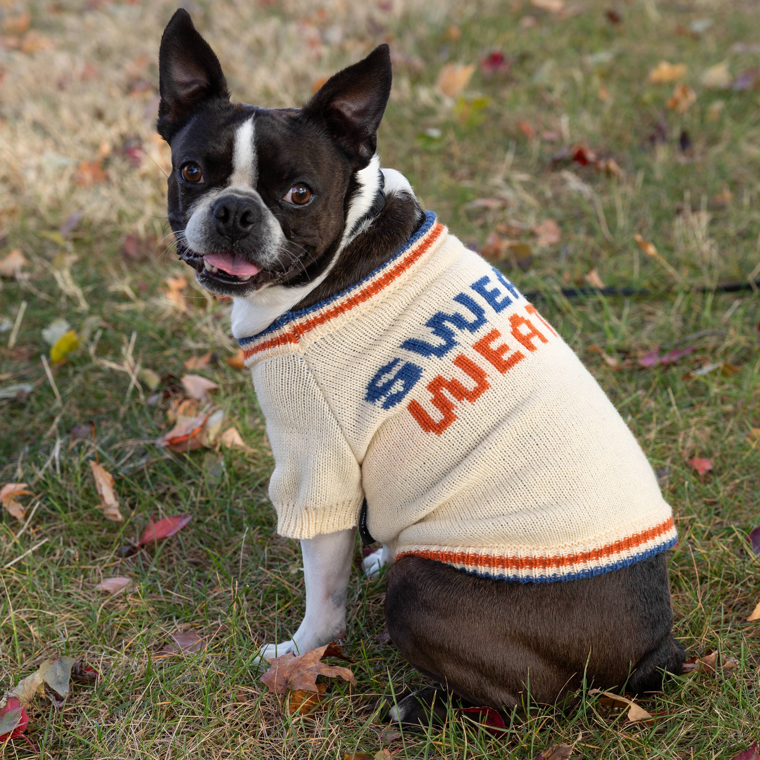 Chronicle Books- Brass Monkey Sweater Weather Dog Sweater