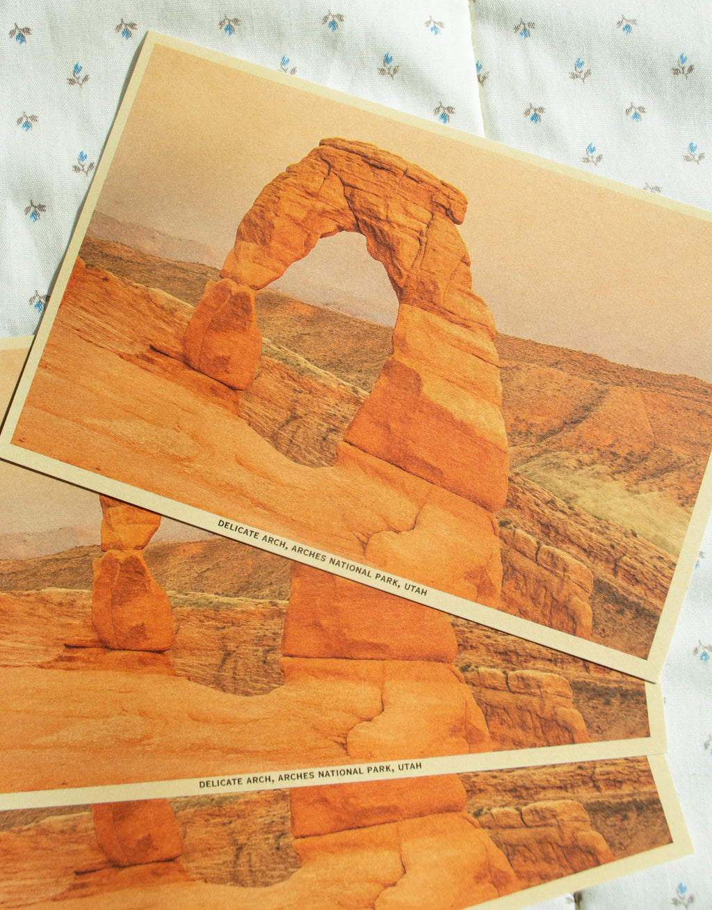 Traildust Goods- Arches National Park Utah Vintage Inspired 4x6 Postcards