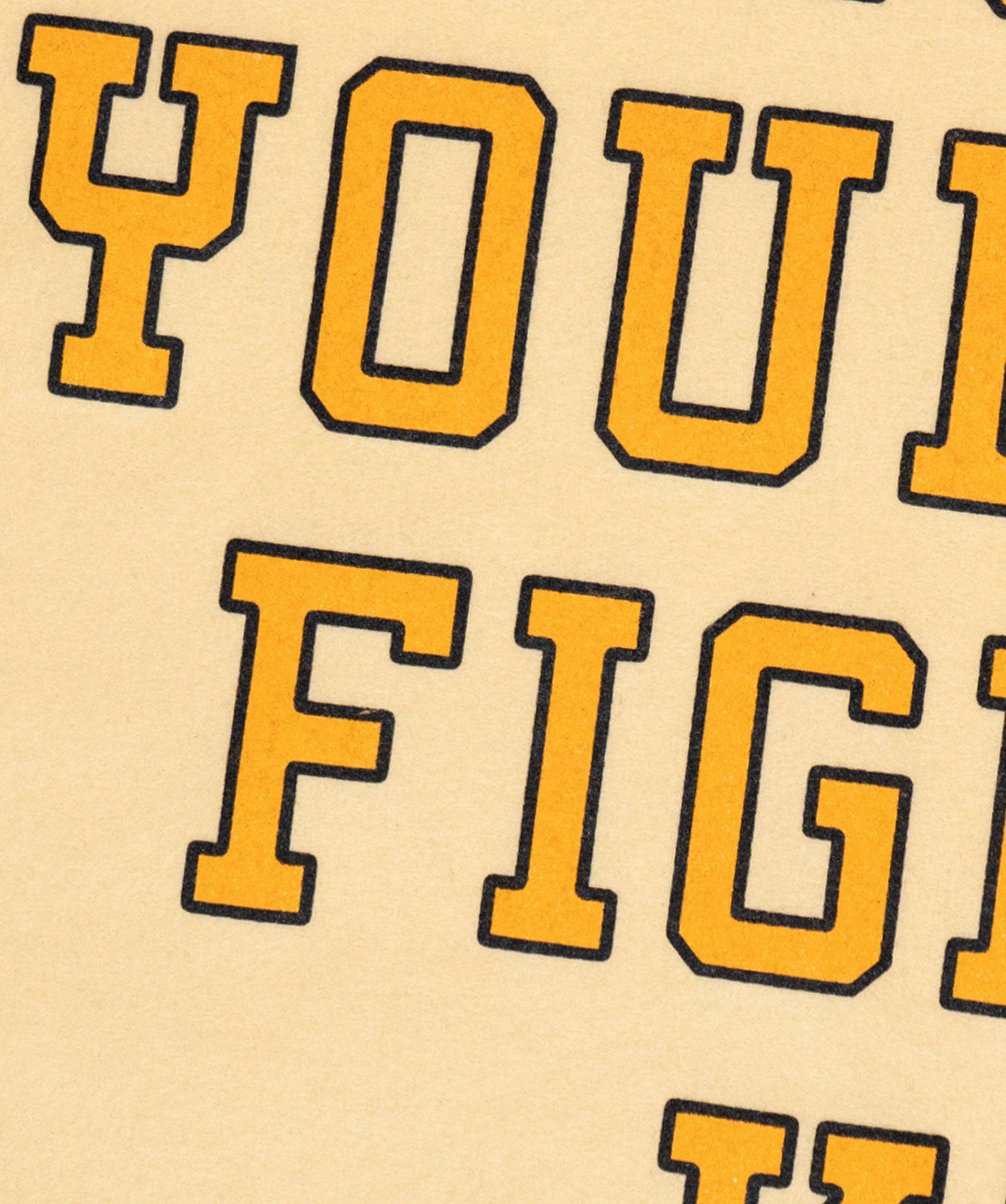 Oxford Pennant- Don't Lose Your Fight Camp Flag • All Time Low x Oxford Pennant