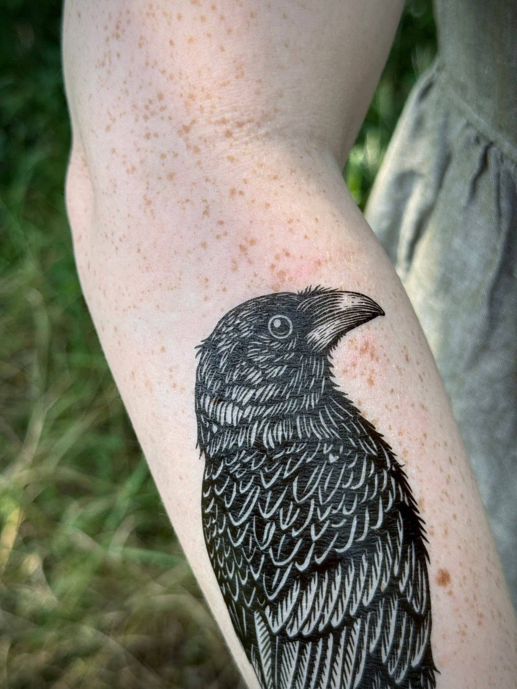 NatureTats- Raven Temporary Tattoo