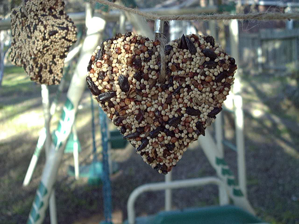 Mr. Bird- Little Heart Birdfeeder