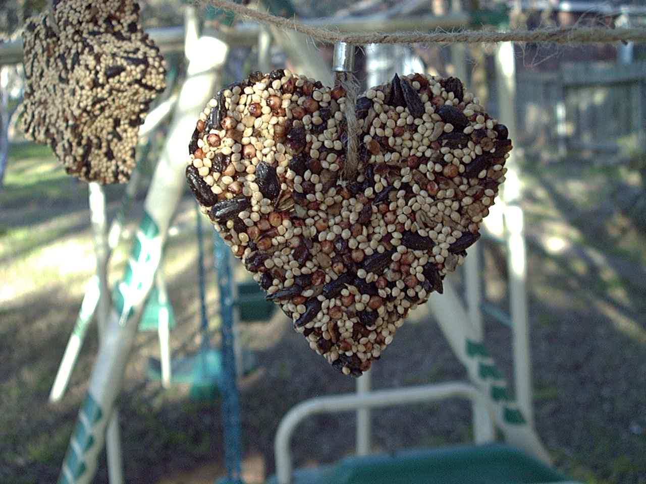Mr. Bird- Little Heart Birdfeeder