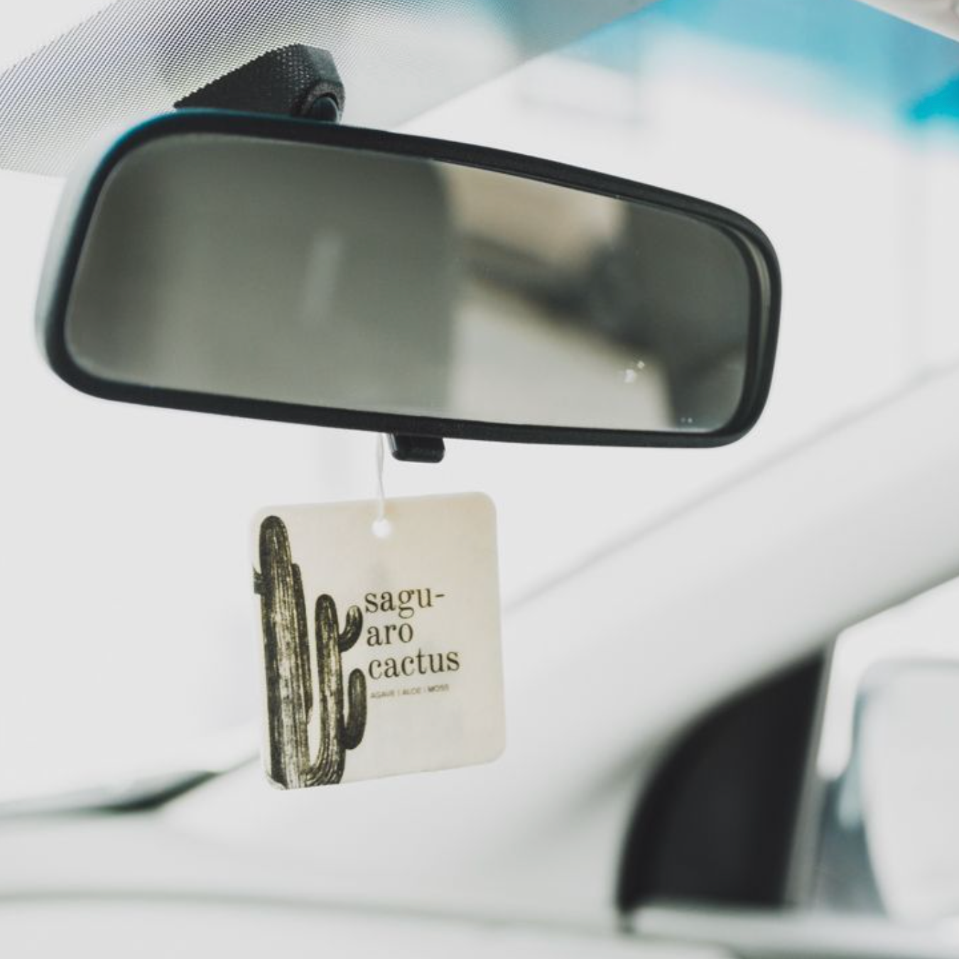 Agave | Aloe | Moss

Take your favorite B|T scent on the road with you wherever you go! Great for hanging on the rear-view mirror and in other small spaces. Our Saguaro Cactus scent is a spicy floral creation made up of cactus jade flower, agave, moss, an