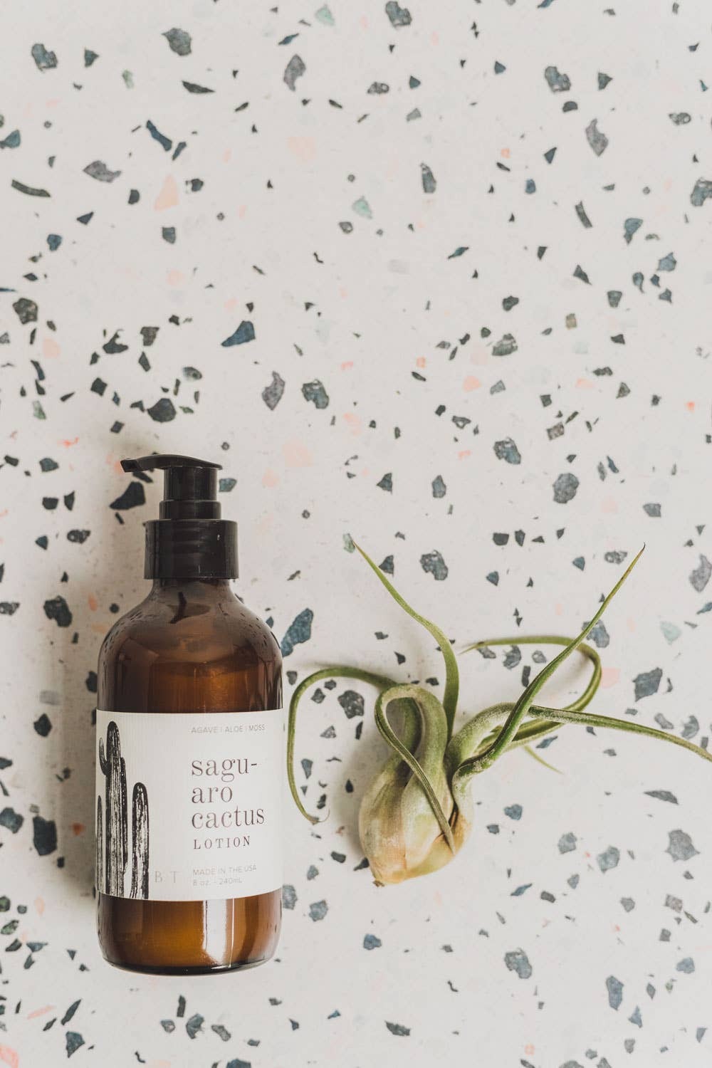 Scent Notes: Agave | Aloe | Moss

Our Saguaro Cactus scent is a spicy floral creation made up of cactus jade flower, agave, moss and aloe. This scent is a true representation of walking into a florist shop and experiencing the aroma of fresh cut flowers, 