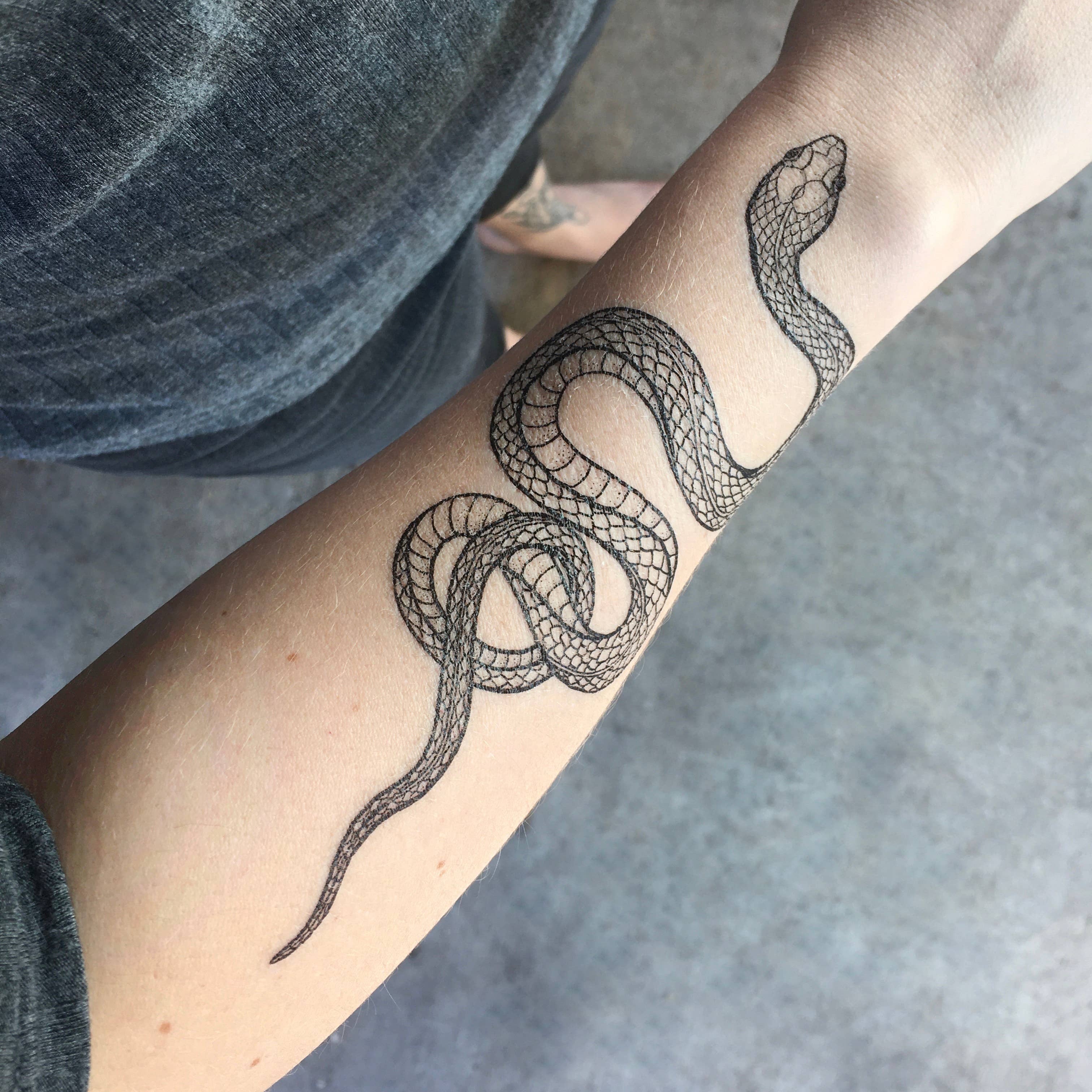 Garden Snake temporary tattoo 2 pack. A resilient garden snake, aka garter snake. Harmless to humans and incredibly beneficial creatures in our environment. Garden snakes feast upon insects, frogs and small animals which helps balance those populations. A