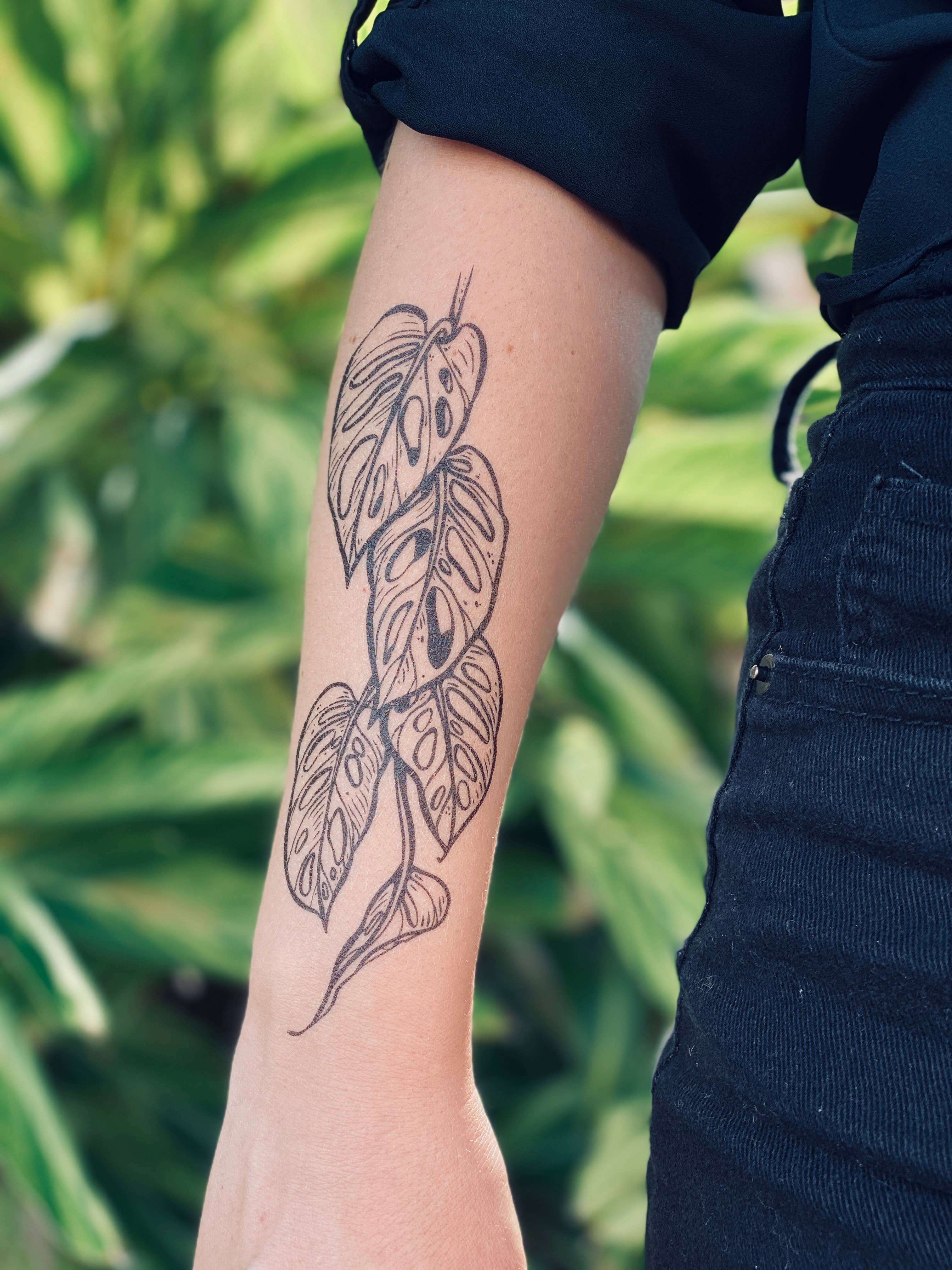 Monstera Vine temporary tattoo 2 pack. This hand-drawn temporary tattoo design features a healthy cutting of the trendy house plant, Monstera Adansonii, otherwise known as a swiss cheese vine. These deep green jungle vines have several slits in the leaves