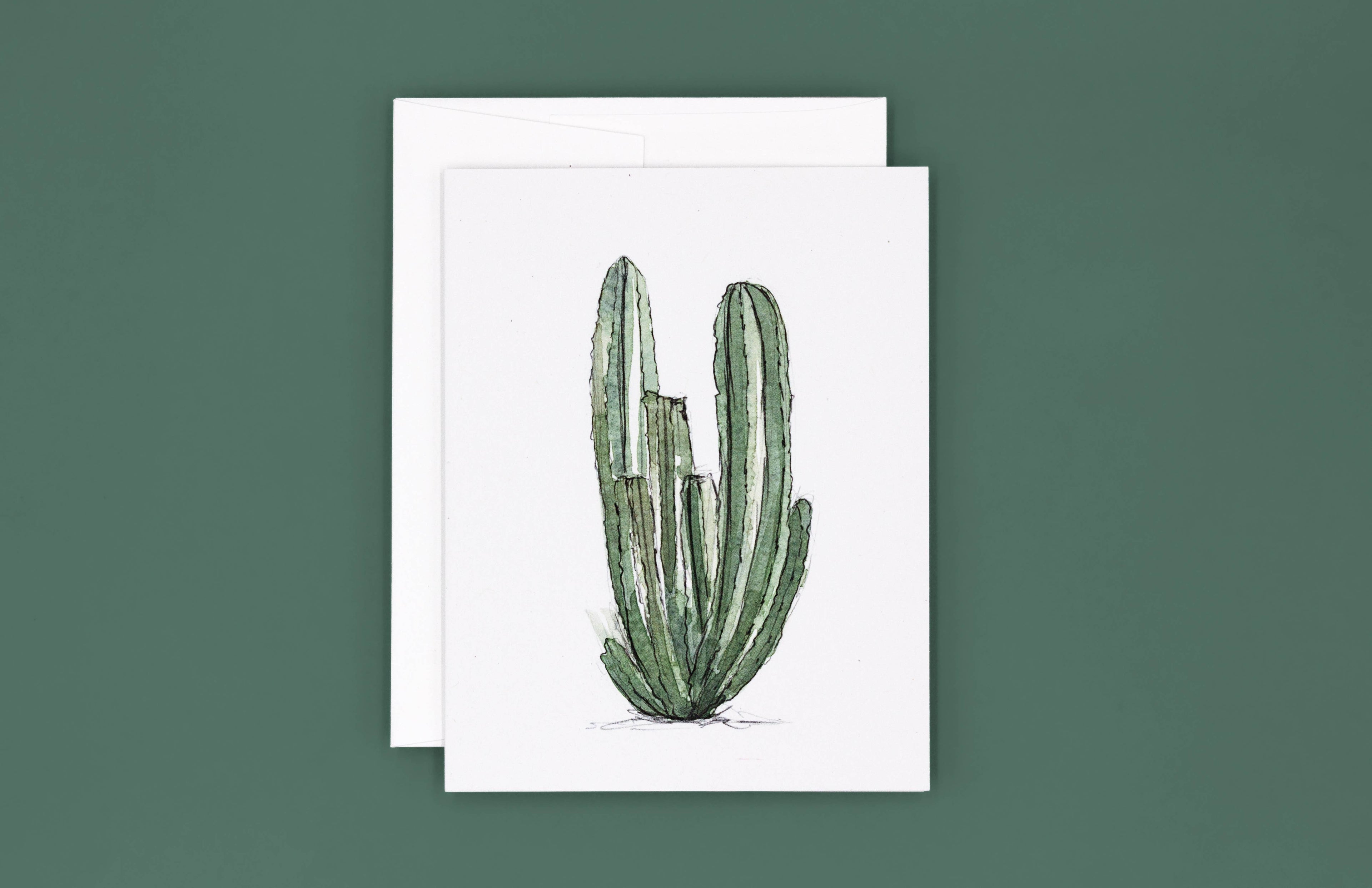 Organ Pipe Greeting cards are great for anniversaries, birthdays or simply sending a surprise snail mail to a loved one. <3

Card Details:
Organ Pipe cactus in watercolor
Size: 4.25” x 5.5” (A2)
Blank Inside (I’ll leave that special note up to you <3)
Pri