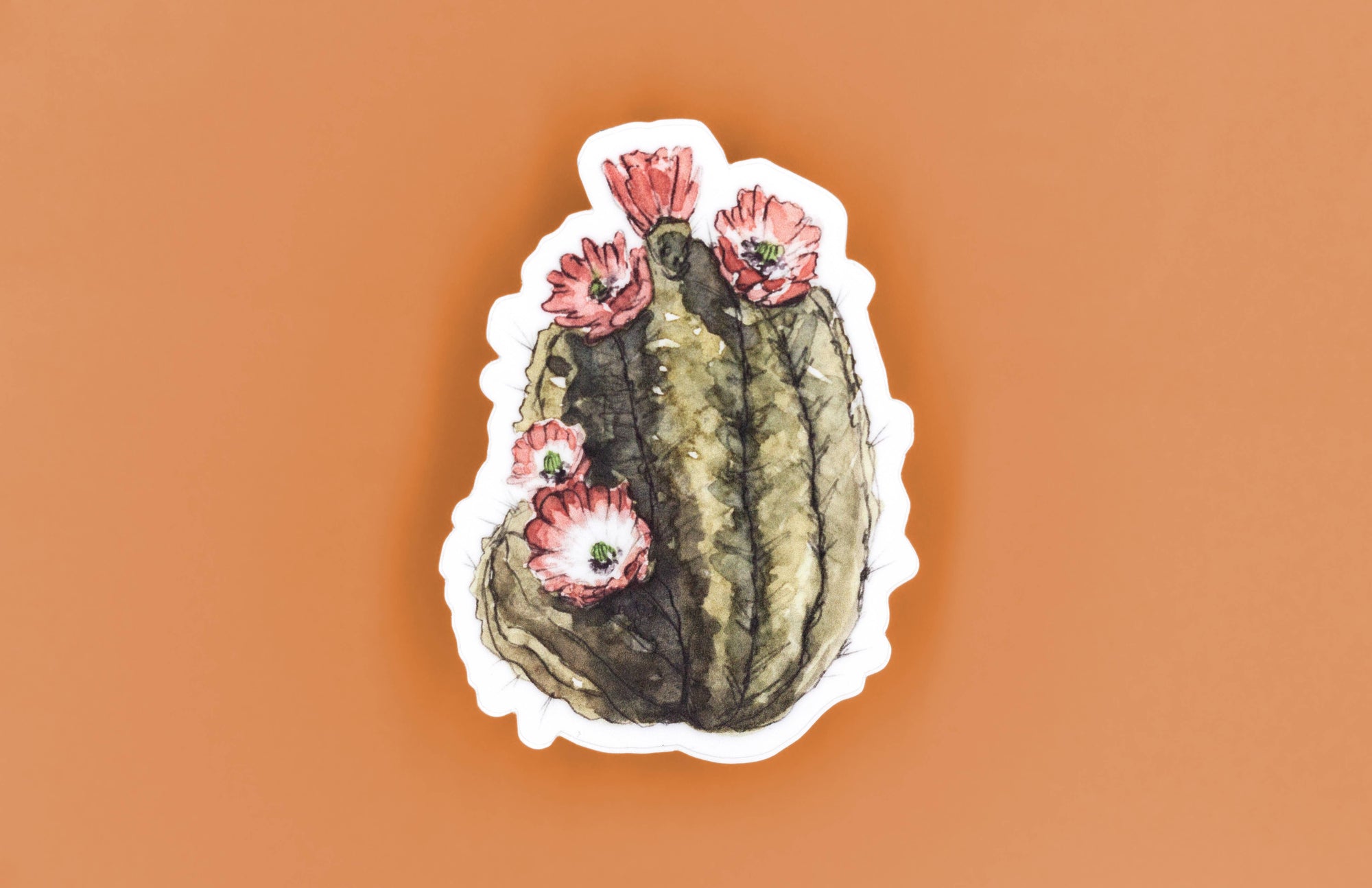 Claret Hedgehog Cactus Vinyl Sticker
Sticker Size: 2.24" x 3"
Thick, durable vinyl protects your die cut stickers from scratching, rain & sunlight.