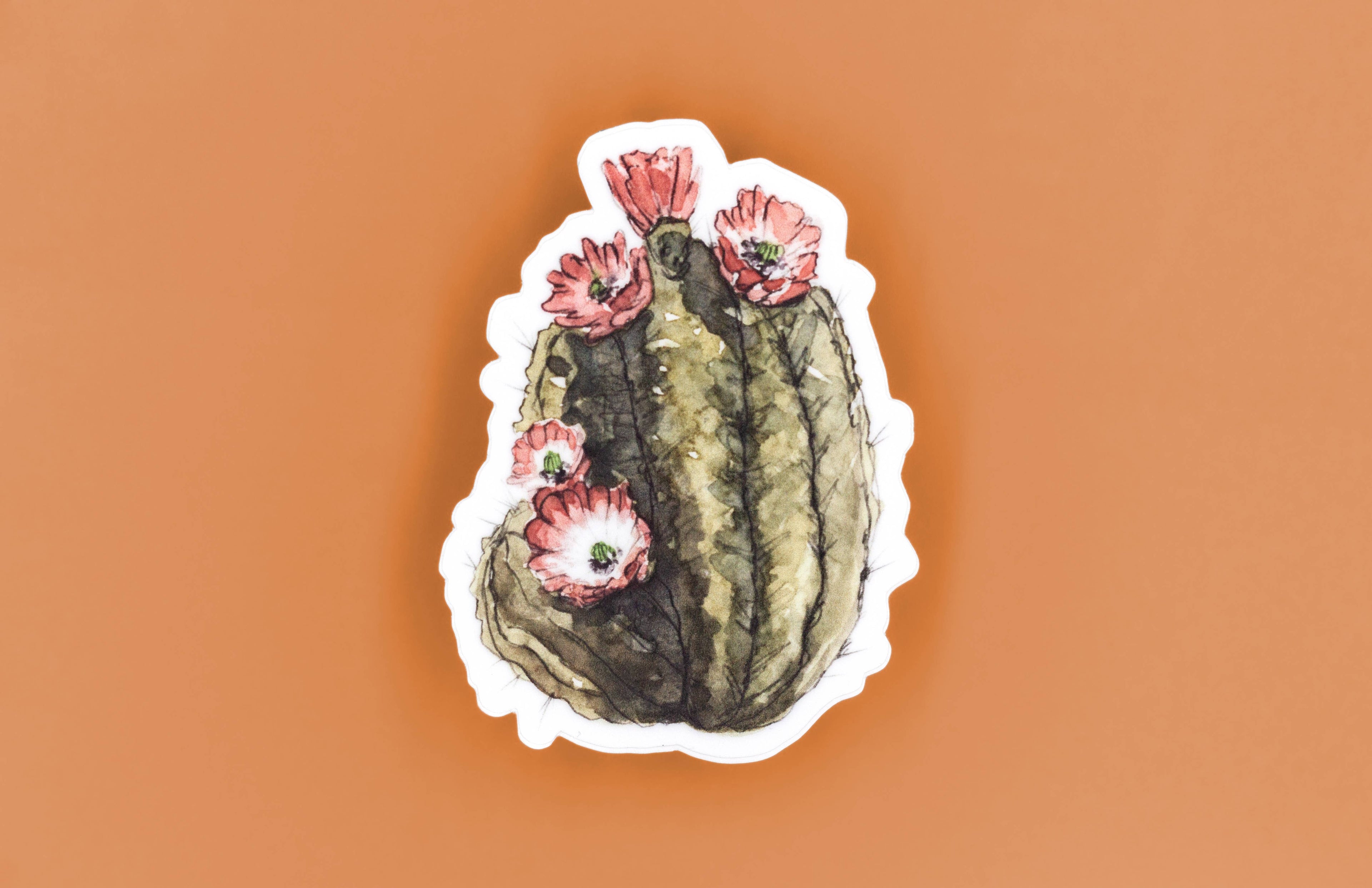 Claret Hedgehog Cactus Vinyl Sticker
Sticker Size: 2.24" x 3"
Thick, durable vinyl protects your die cut stickers from scratching, rain & sunlight.