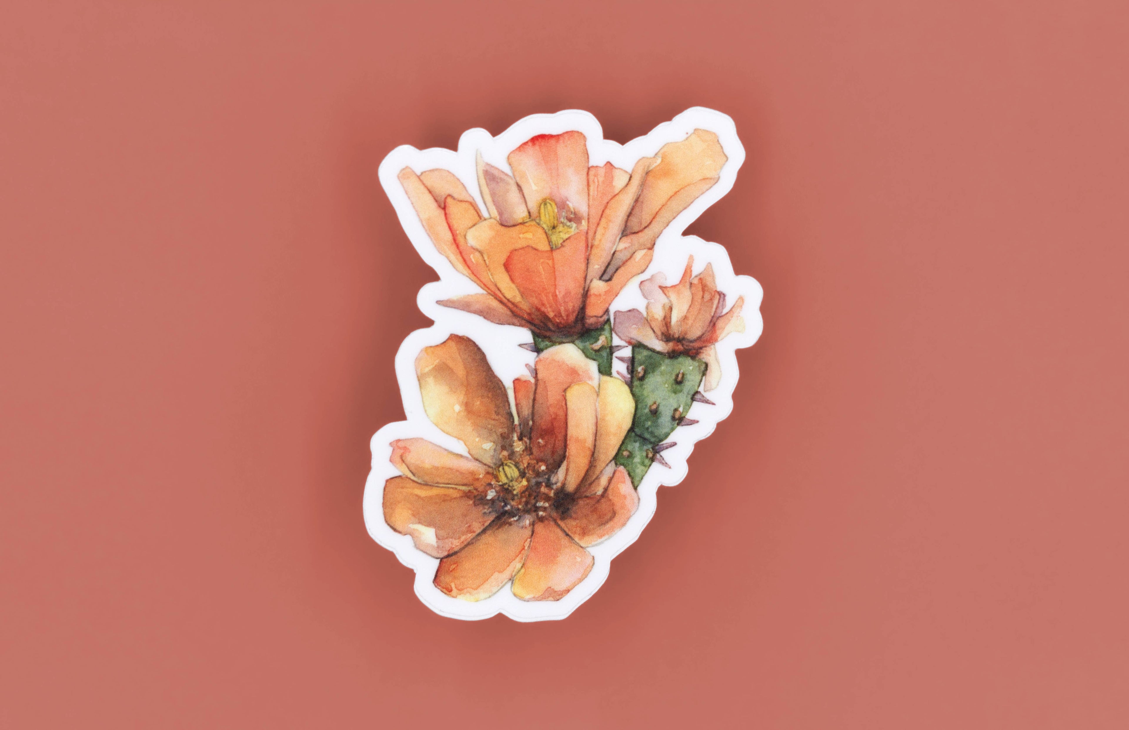 Cholla Duo Blossom Sticker illustration is from Cacti Oasis©. These flowers are specifically from Cholla cacti and bloom throughout the spring and early summer.

Size: 3" x 2.5"

Thick, durable vinyl protects your die cut stickers from scratching, rain & 