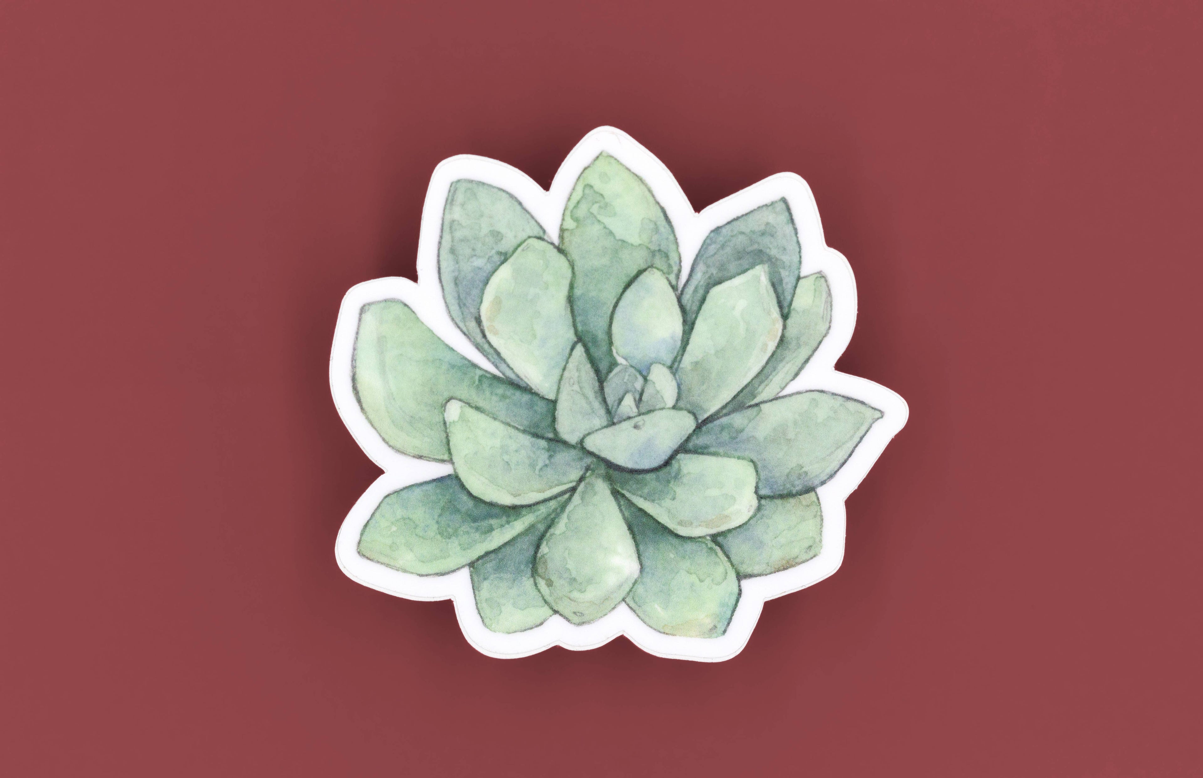 Succulent watercolor illustration is from Cacti Oasis©.

Sticker Size: 3" x 2.83"

Thick, durable vinyl protects your die cut stickers from scratching, rain & sunlight.