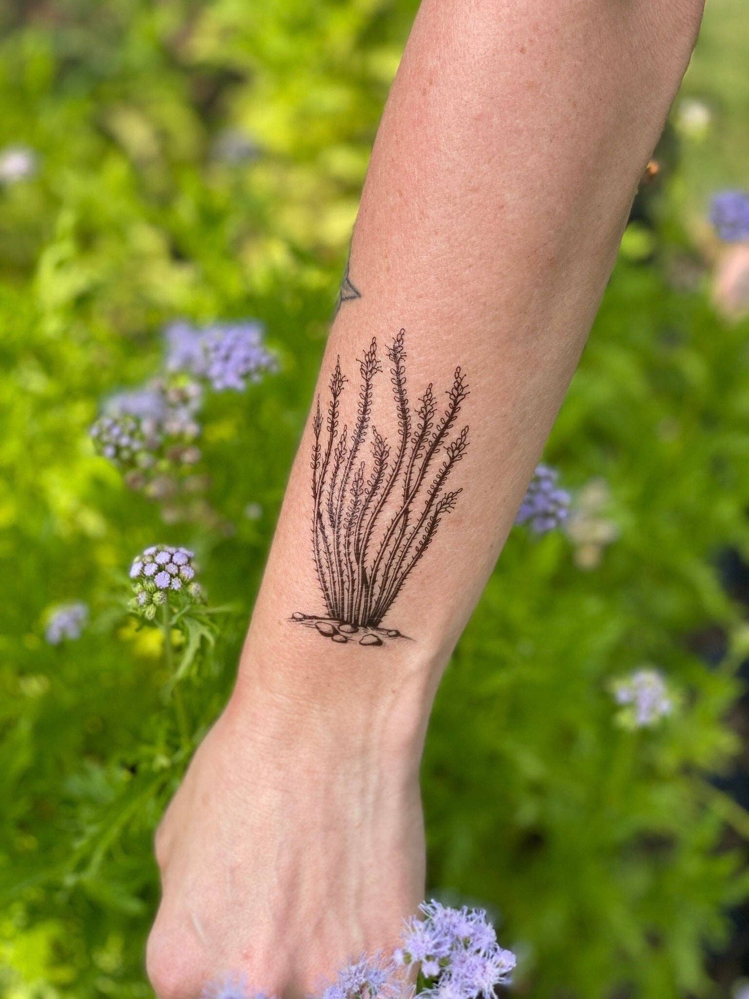 Ocotillo temporary tattoo! This original, hand-drawn artwork features a healthy flowering ocotillo plant. This tall stunning beauty stands out in the desert with its red flowers that co-evolved with hummingbirds! You may see one if you venture through des